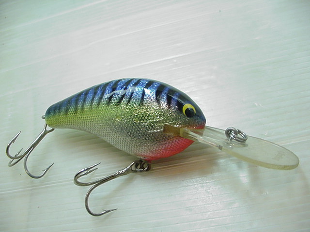 色がいい！バグリー★腹真鍮！ダイビングB3/BYS