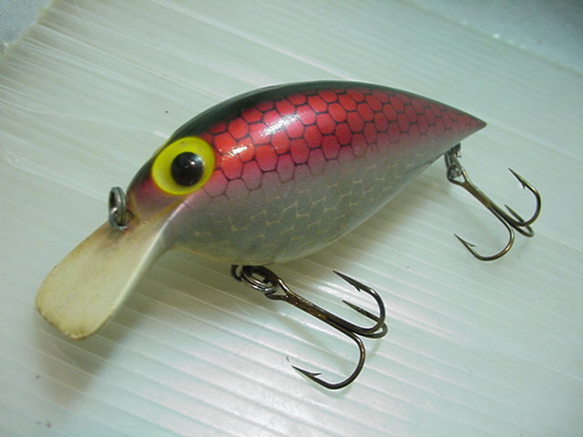 スィンフィン★ファッッオー/RS/FATSO