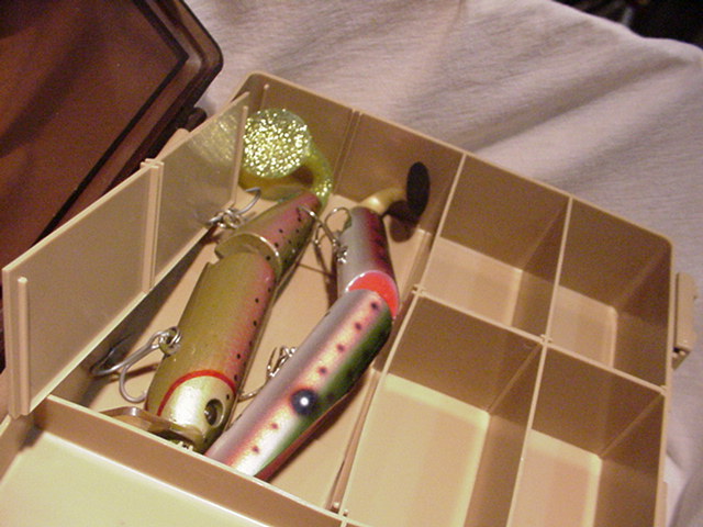 イメージ5