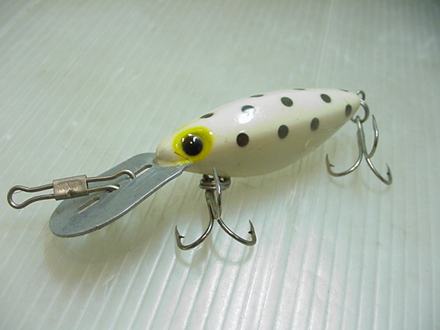 希少★スィンフィン★ホッテントット/ダルメシアン